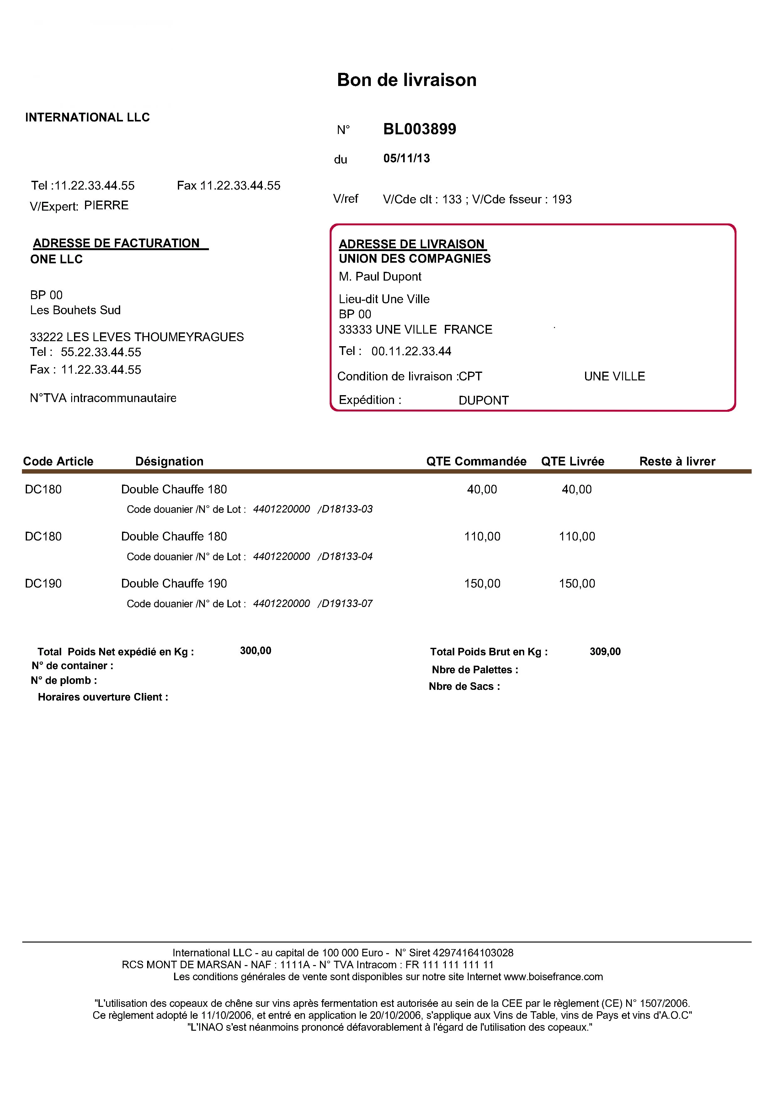 DeliveryNote_2---Copy